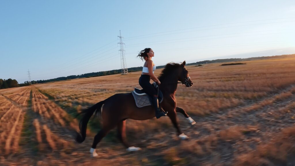 FPV dronu filmuotas jojimo kadras su žirgu atviroje erdvėje
